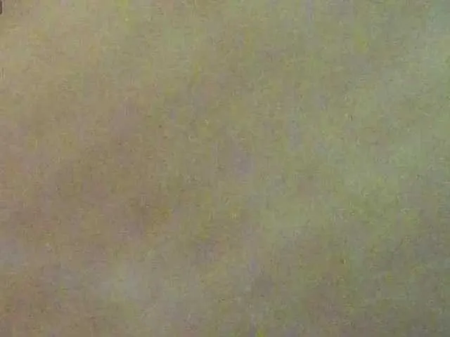 Freechat BlondieGirl on BongaCams