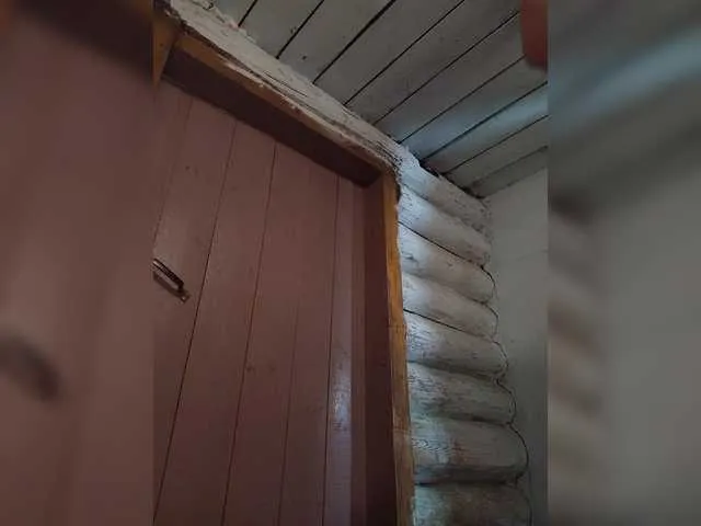 Freechat Mussypussy222 on BongaCams