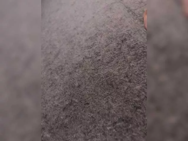 Offline Sexy6969 on BongaCams