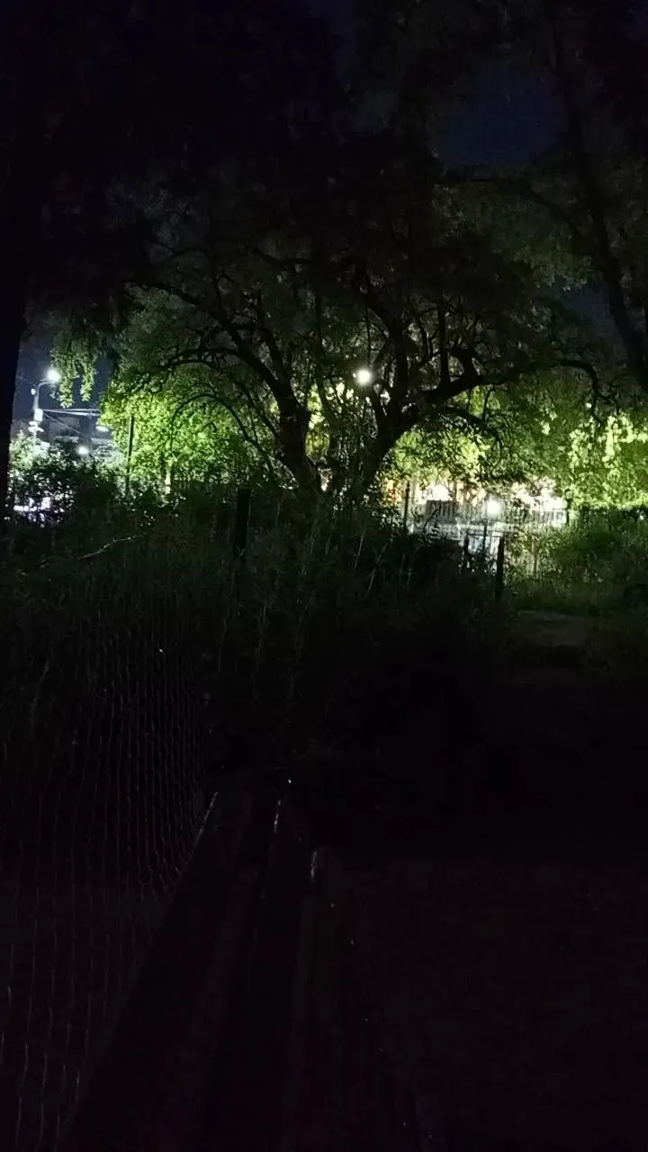 Offline Asasass on Cam4