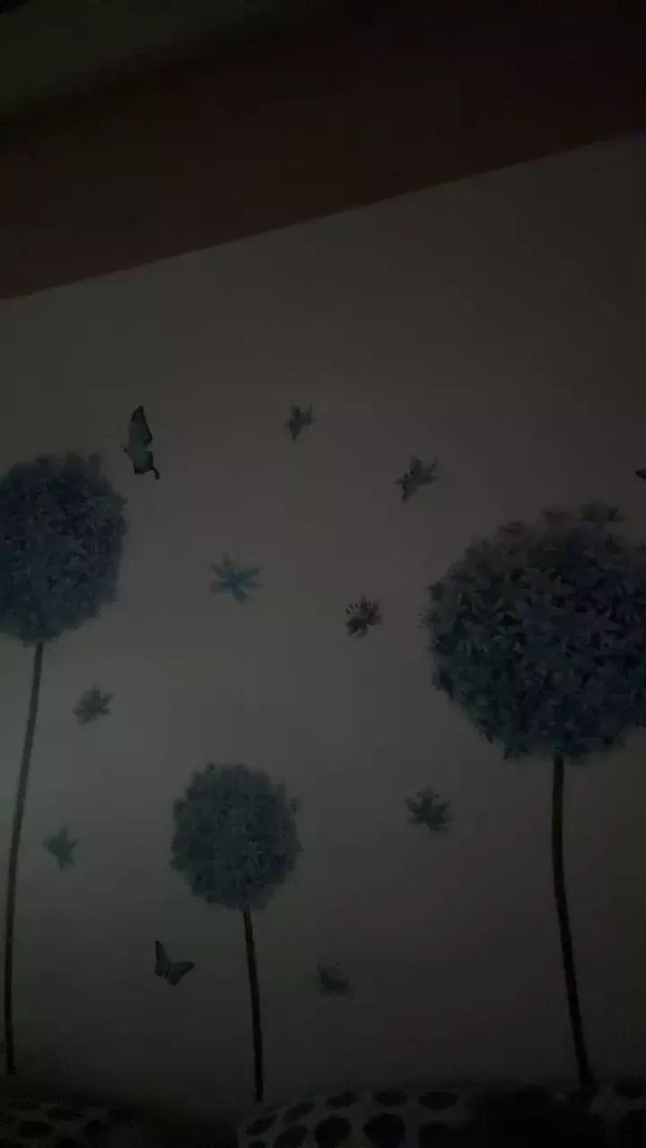 Offline Denyma on Cam4