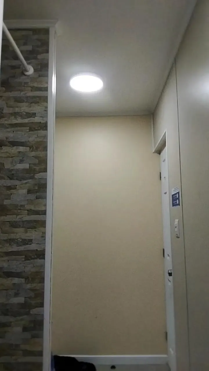 Cam4 Hanroll is Freechat Hanroll — Freechat on Cam4