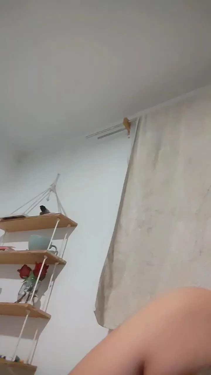 Cam4 Katikaxotica is Freechat Katikaxotica — Freechat on Cam4