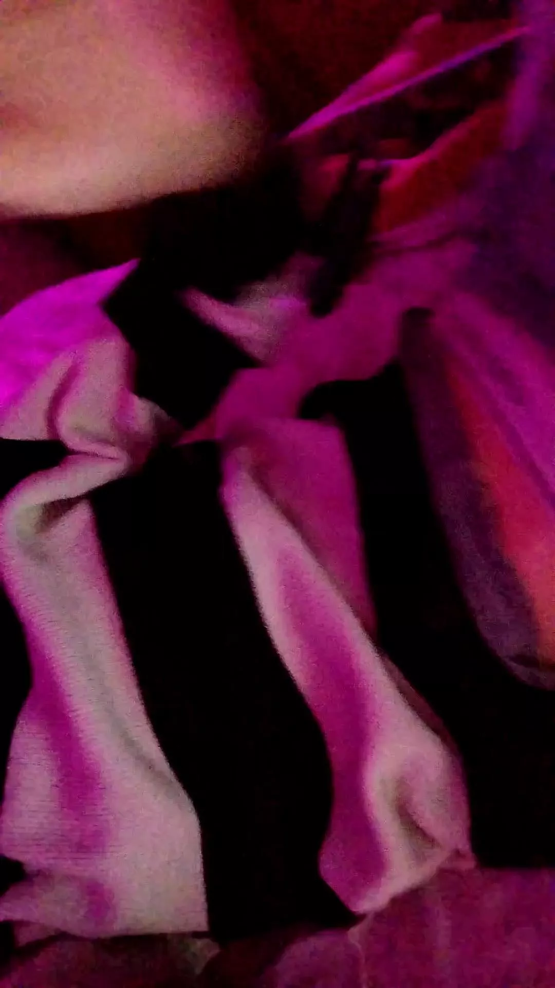 Offline sableye21 on Cam4