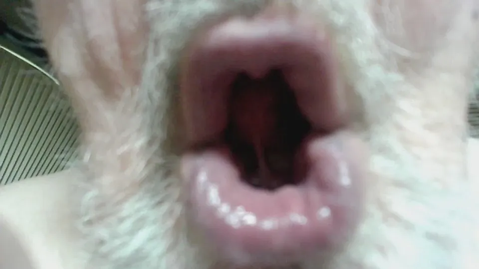 Offline zahnlos on Cam4