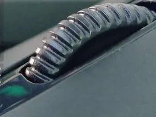 collegepawg on CamSoda 