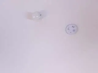 Offline maddieparker on CamSoda