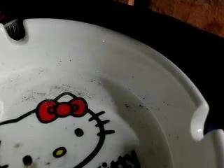 Freechat nikkishome on CamSoda