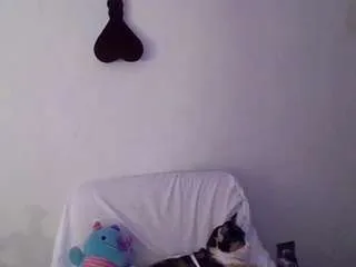 Offline ravebunnyyy on CamSoda