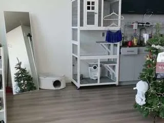 Freechat supertease on CamSoda