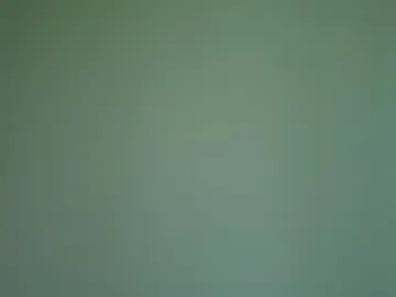 ms_seductive on Chaturbate 