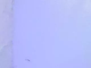 Away mia_sinner on Flirt4Free