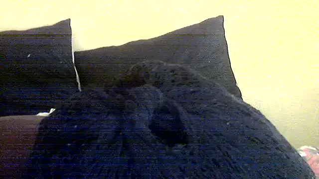 Freechat AnnabigpussyXO on StripChat