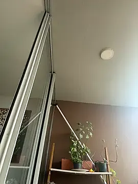 itsdanividarte on StripChat