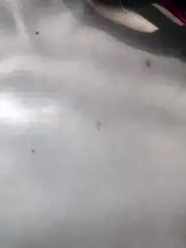 Maiden-Hot on StripChat