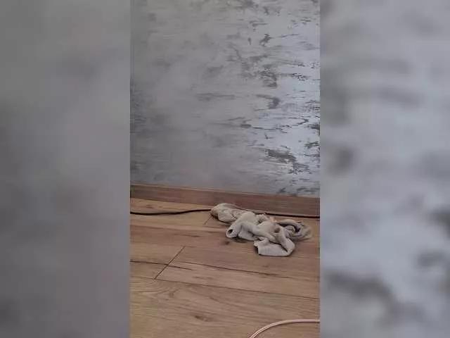 Offline CannabisQueen on BongaCams