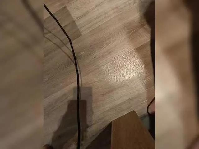 Offline directus on BongaCams