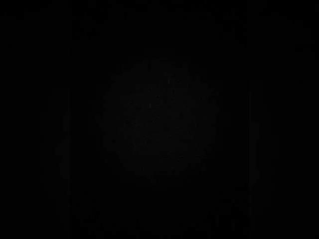 Offline Jasmin-Style on BongaCams