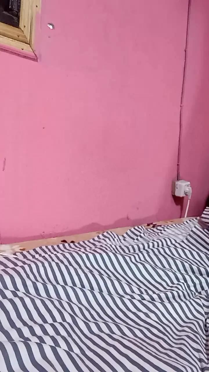 Cam4 annie197 is Freechat annie197 — #pornstar