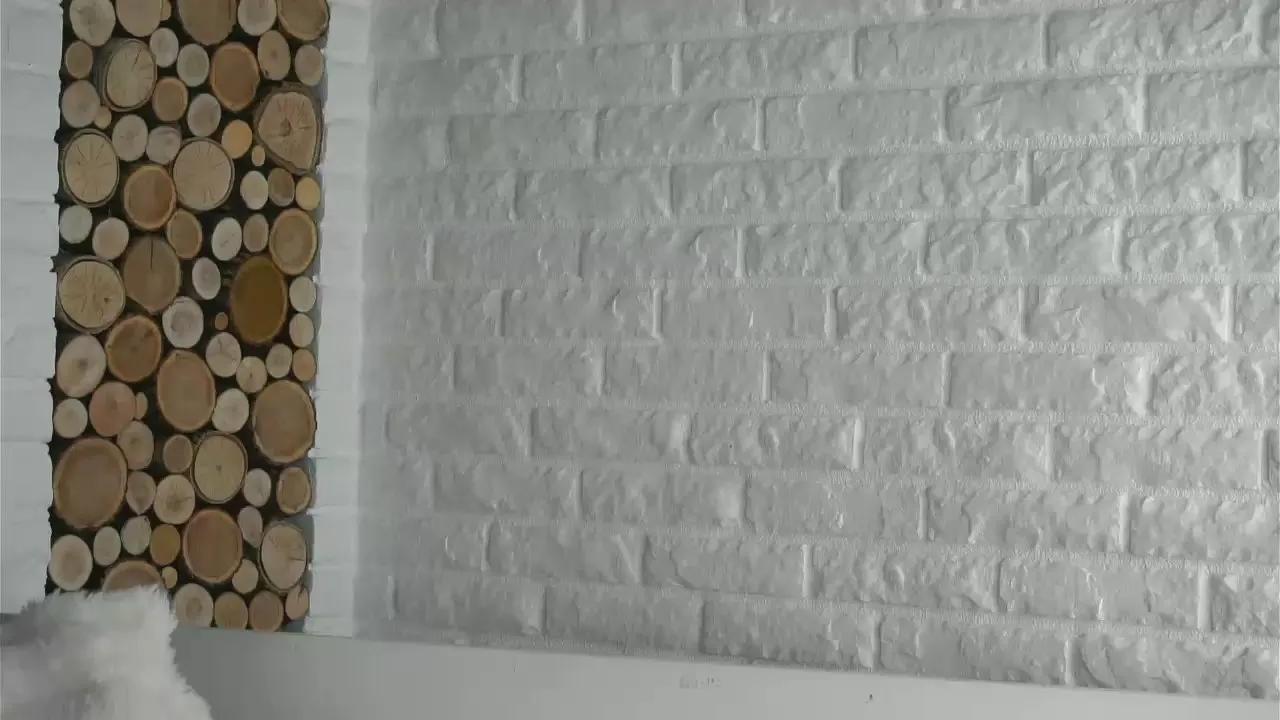 Offline BridgetEast on Cam4