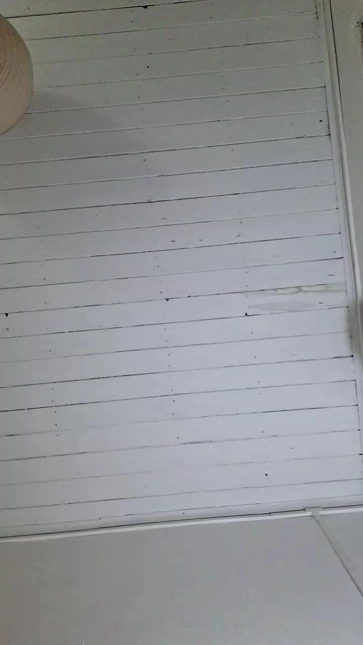 Offline Caritovivi on Cam4