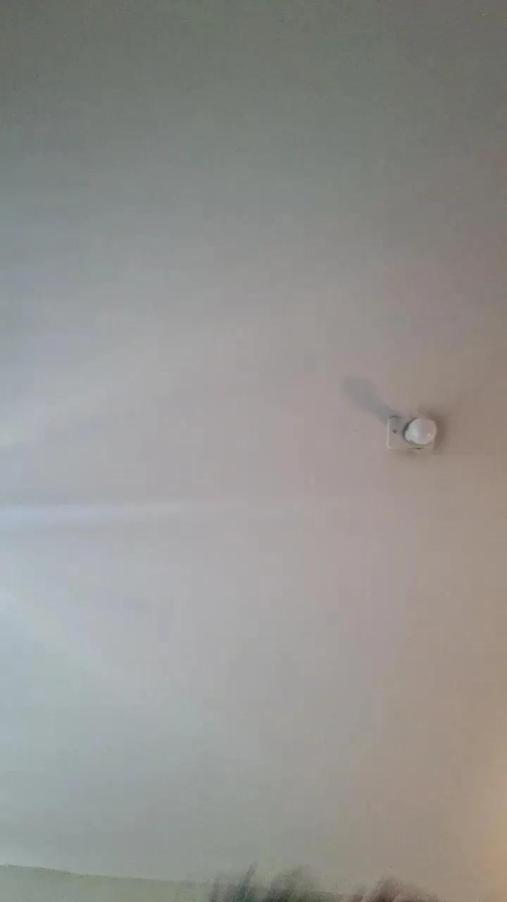 Offline Caritovivi on Cam4