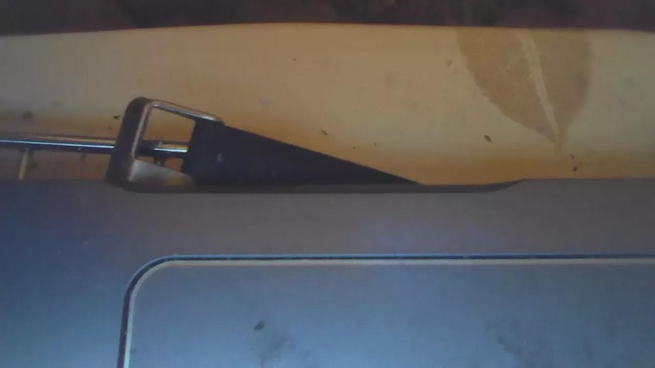 Freechat idefix091 on Cam4