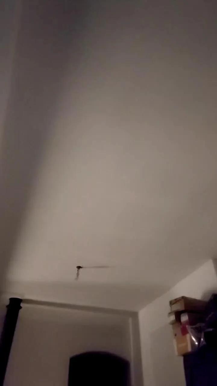 Cam4 namoursexe_fun is Freechat namoursexe_fun — #cosplay