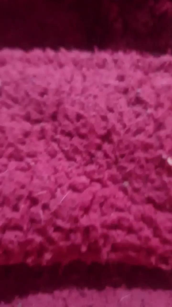 Freechat tamiisexy on Cam4