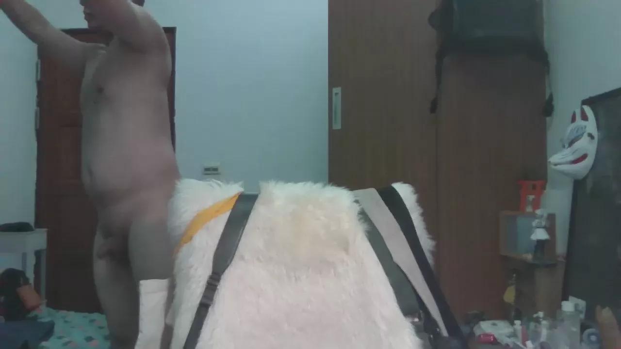 Offline vul3196t on Cam4