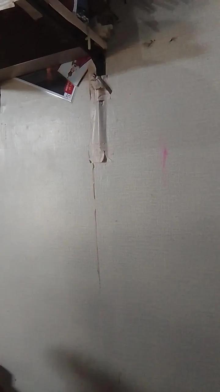 Offline WildLady on Cam4