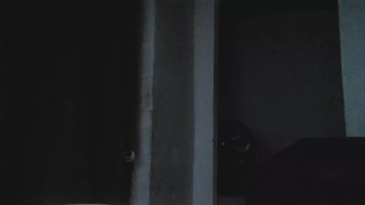 Offline zepica7 on Cam4