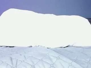 Freechat alaiaguerra on CamSoda