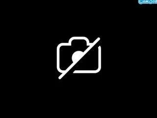 Offline sexyserafine on CamSoda