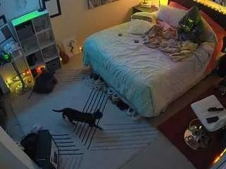 Freechat voyeurcam-hornyhostel-01 on CamSoda