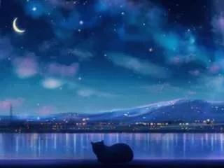 Offline wilonegrooms on CamSoda