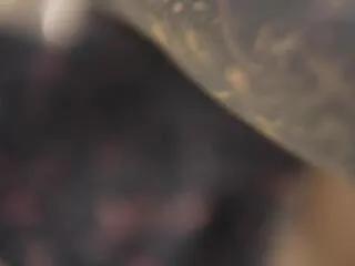 Offline ema_malkova on Flirt4Free