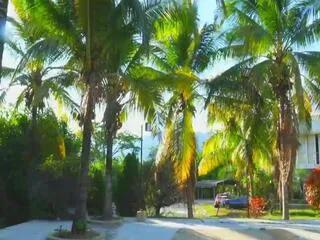 Offline mansion_girls on Flirt4Free